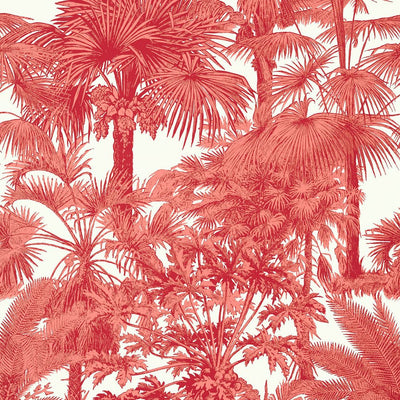 Palm Botanical Wallpaper - Coral