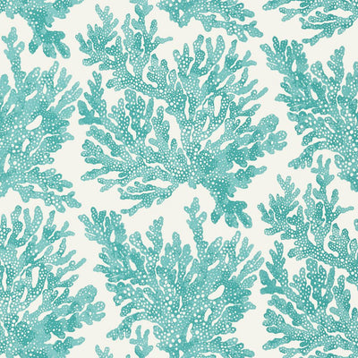 Marine Coral Wallpaper - Turquoise