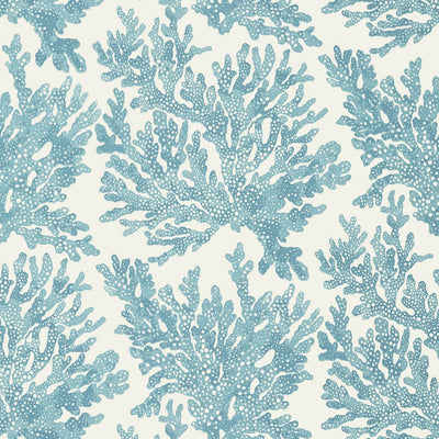 Marine Coral Wallpaper - Spa Blue