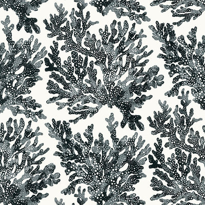 Marine Coral Wallpaper - Black