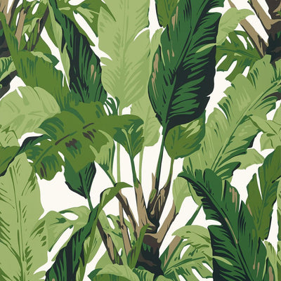 Travelers Palm Wallpaper - Green