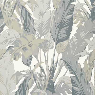 Travelers Palm Wallpaper - Grey