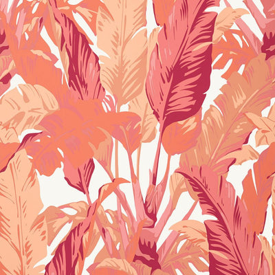 Travelers Palm Wallpaper - Pink and Coral