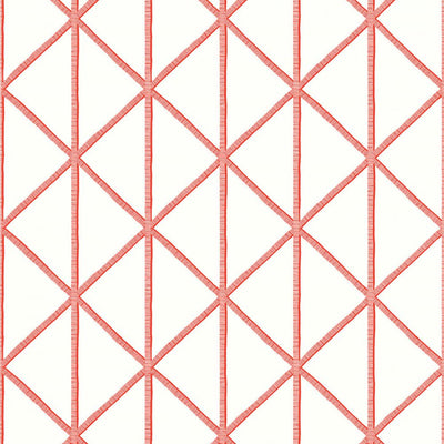 Box Kite Wallpaper - Coral