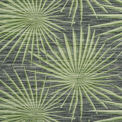 Palm Frond Wallpaper - Black and Green