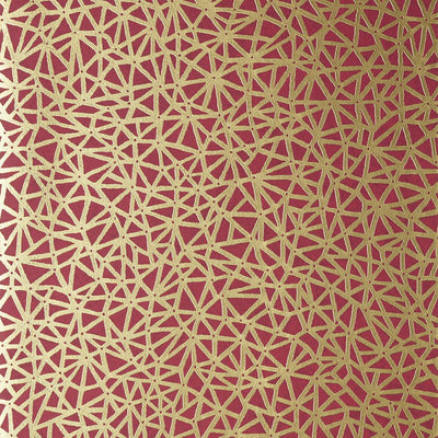 Aedan Wallpaper - Raspberry