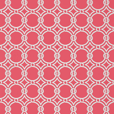 Gilon Wallpaper - Raspberry