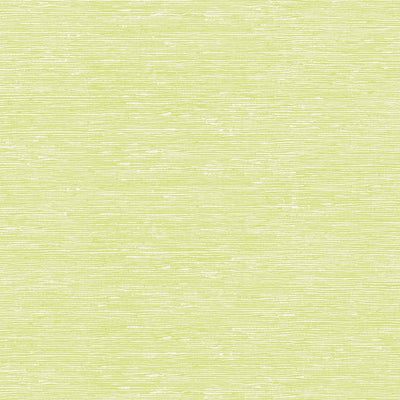 Outer Banks Wallpaper - Green