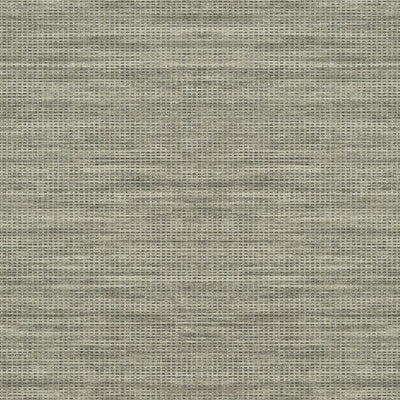 Journey Wallpaper - Taupe