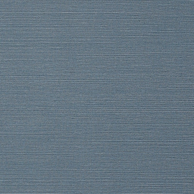 Taluk Sisal Wallpaper - Blue