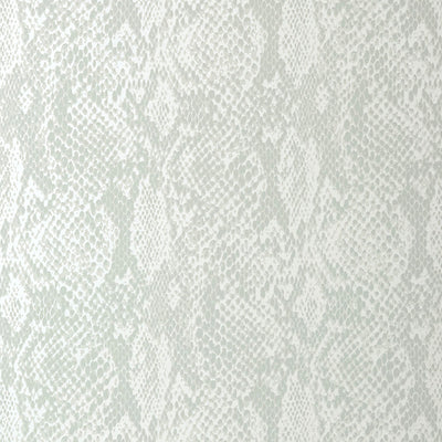 Boa Wallpaper - Pearl
