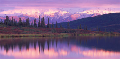 Denali National Park And Preserve National Park In Alaska USA :  Wallpapers13.com