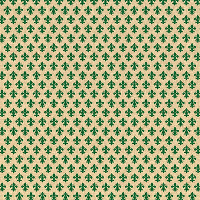 Pitti - Green Contact Paper