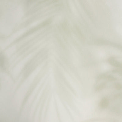 Ghost Palm - Mist Wallpaper