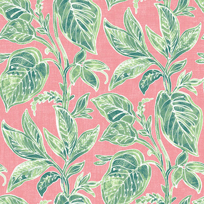 Mangrove Pink Botanical Wallpaper Wallpaper