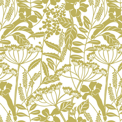Wild Hedgerow - Olive Wallpaper