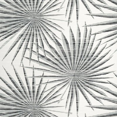 Palm Frond - Black and White Wallpaper