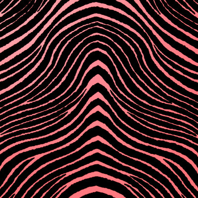 Pink zebra | Poster